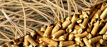 Non-wood-biomass