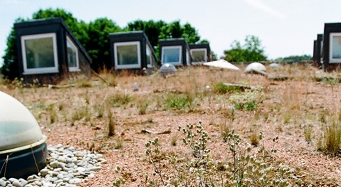 News Illustrated Sun Sentinel Blogs Green Roof Living Roofs Roof