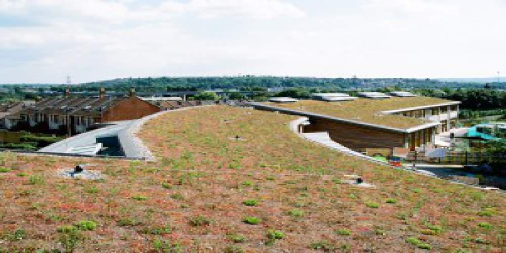 Green Roof