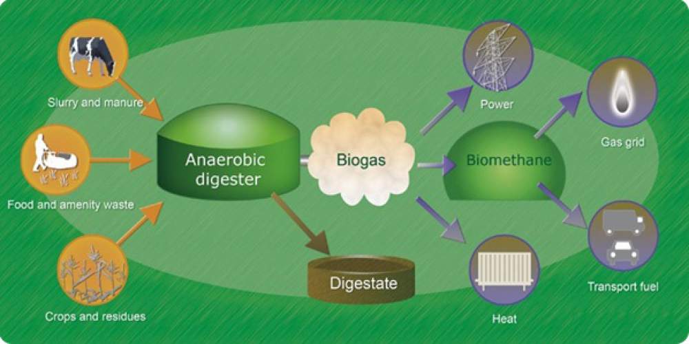The Process of Anaerobic Digesters