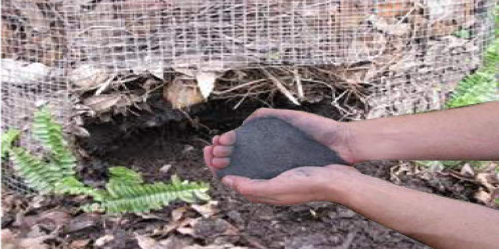 Ash_compost