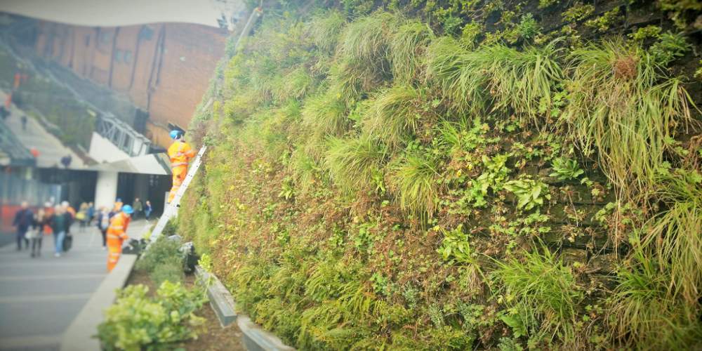 Green Wall Birmingham New St Station