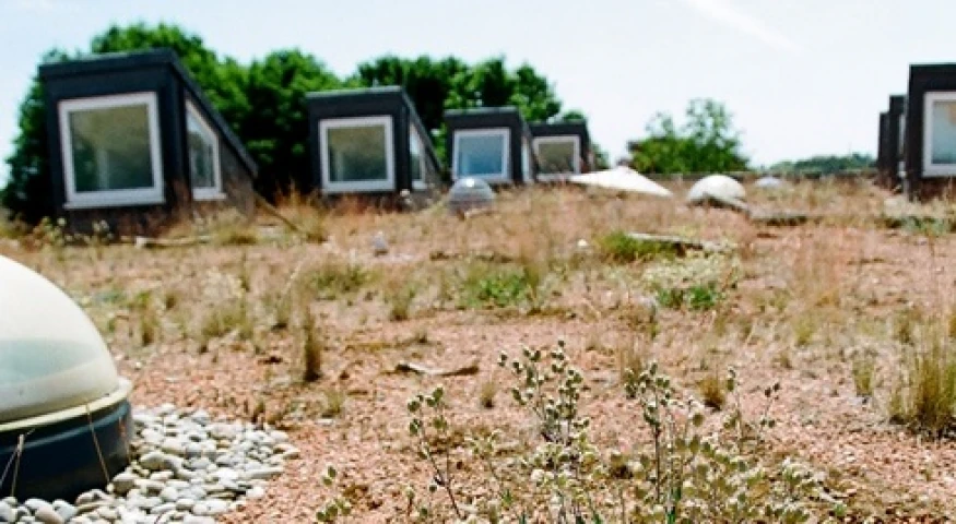 Benefits Of Green Roofs