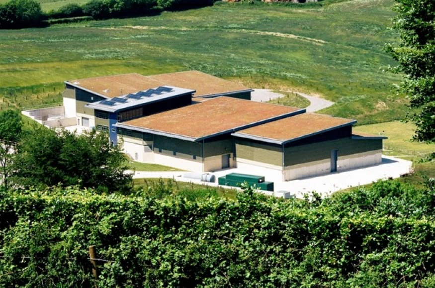 Extensive green roofs