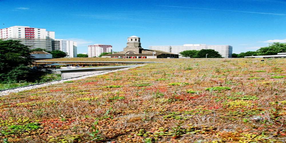 Financial benefits green roof